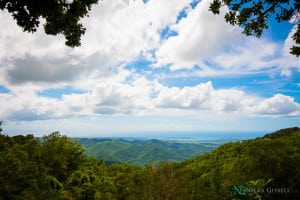 Siempreviva Boda en Cayey Puerto Rico