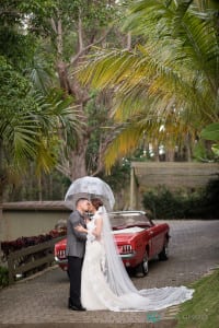 Siempreviva Boda en Cayey Puerto Rico