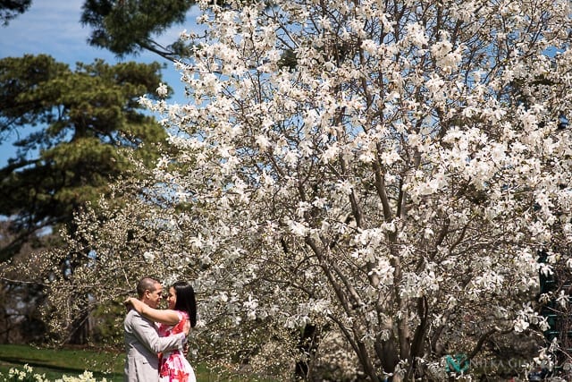 Engagement Session NY Botanical Garden