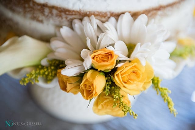 Boda en Haciendo Muñoz San Lorenzo-Fotografo de Bodas Puerto Ri