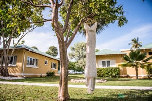 Villa Montaña Beach Resort Isabela Wedding-Boda en Puerto Rico