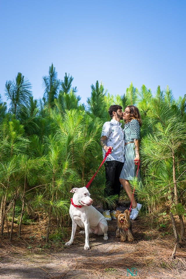 Bosque de Pinos Cayey Love Story (13)