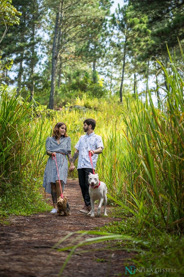 Bosque de Pinos Cayey Love Story (18)