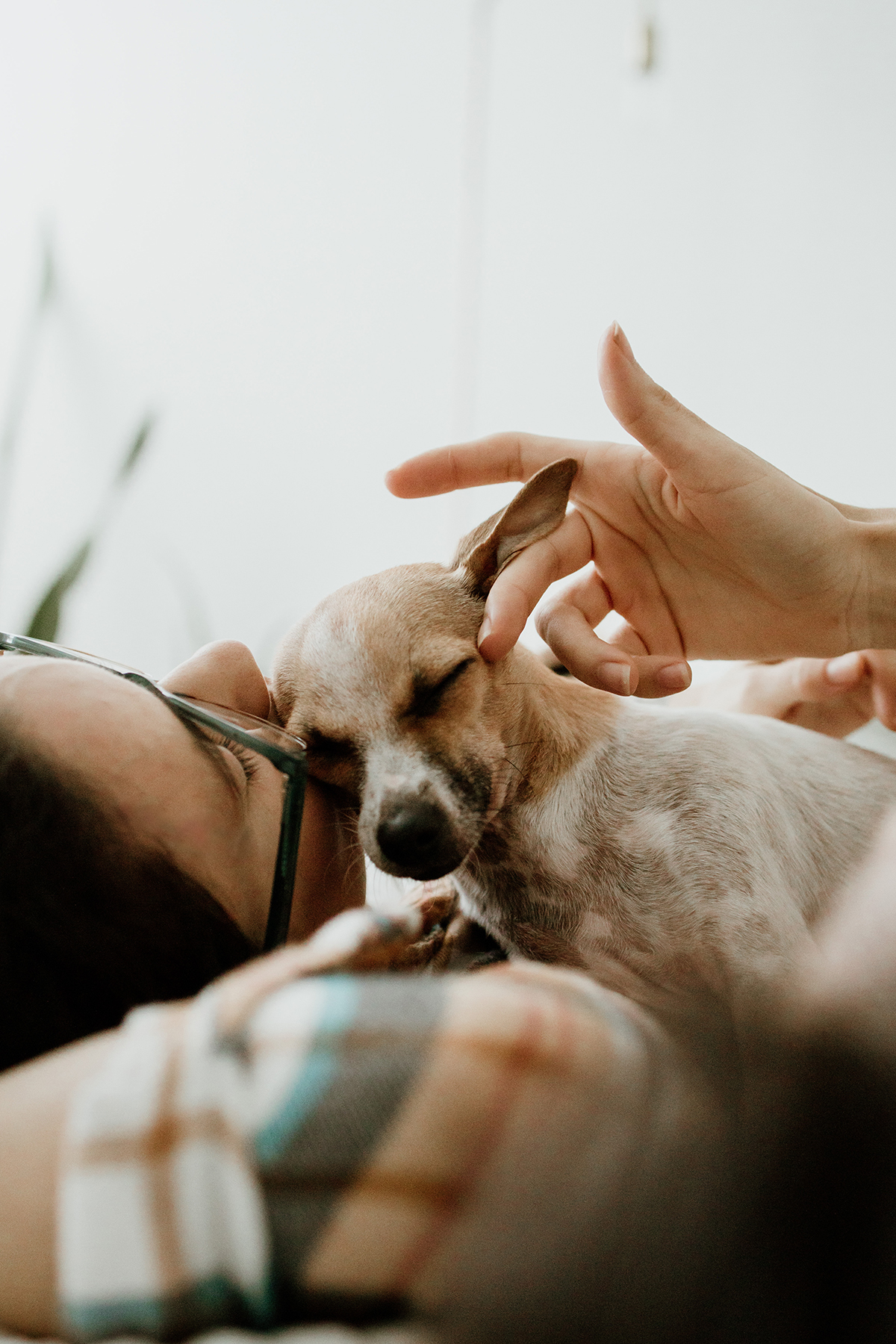 Nilka Gissell photographer with pet dog
