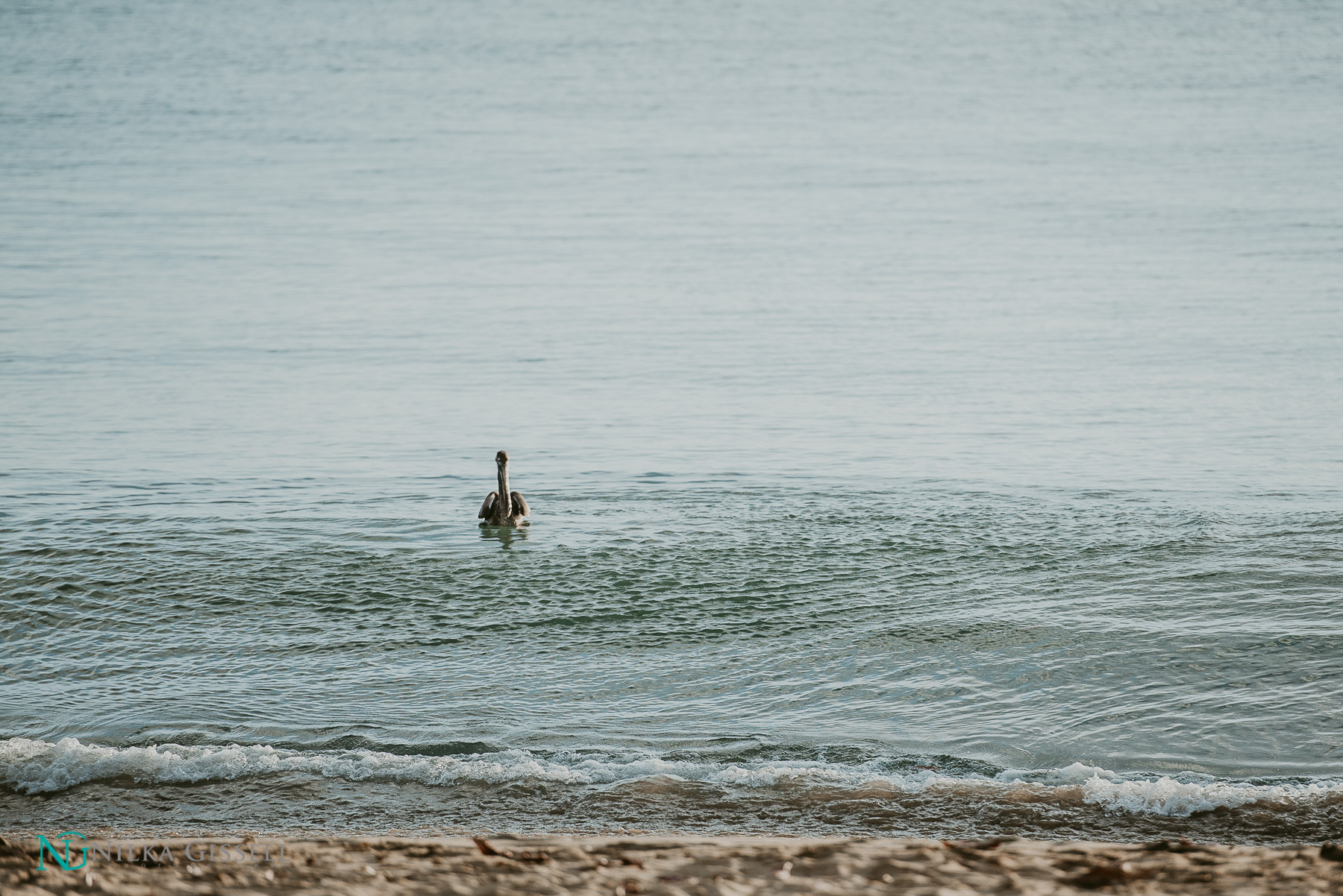 Benefits of an Intimate Destination Wedding in Puerto Rico