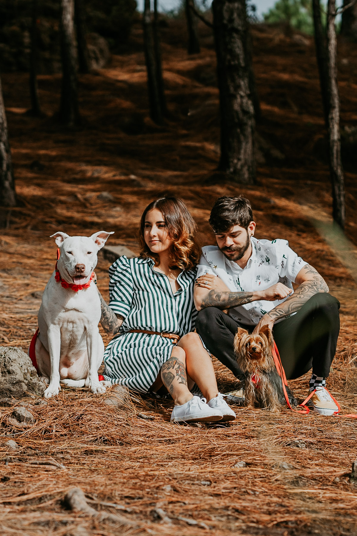 Bosque de Pinos Engagement