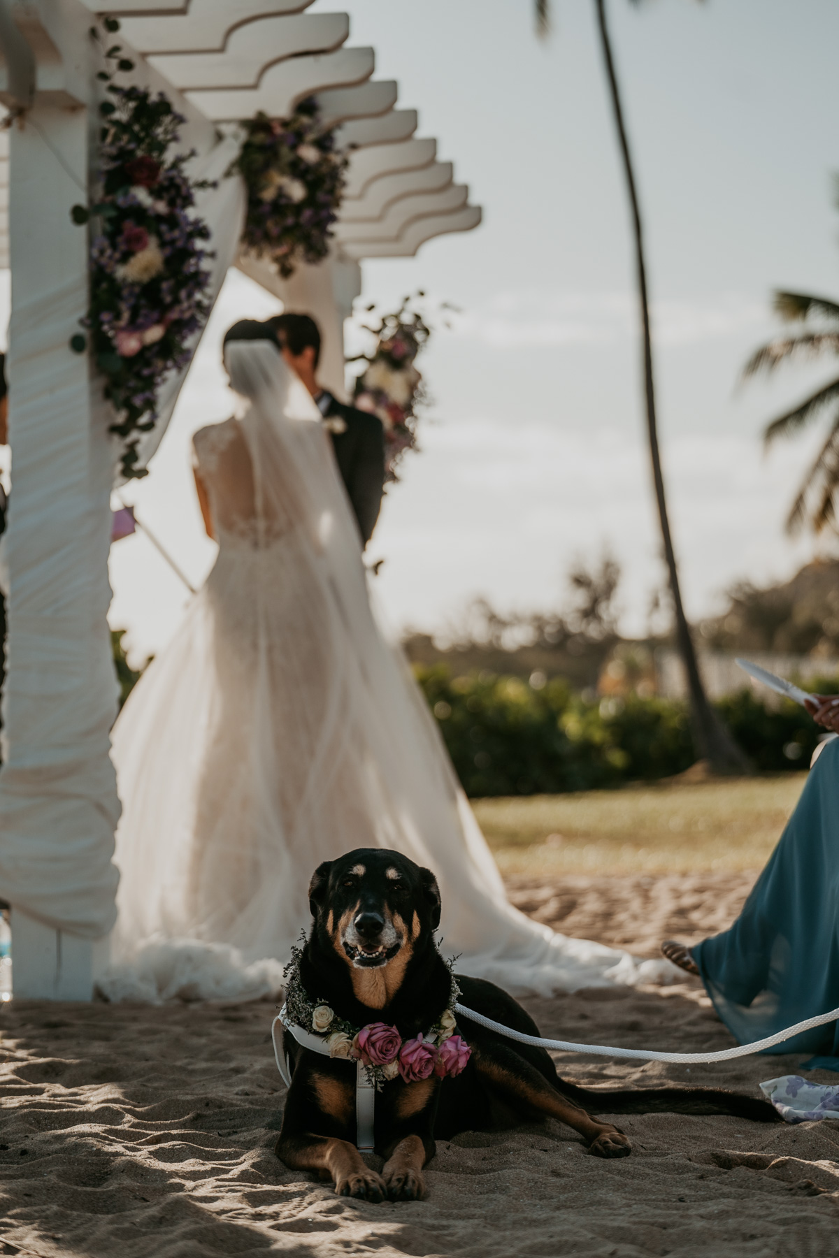 Capturing the Magic of a Copa Marina Beach Resort Wedding