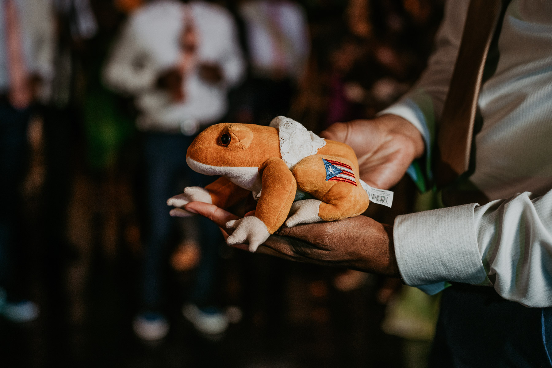 New wedding traditions for garter toss of a coqui frog at Casa de España wedding.