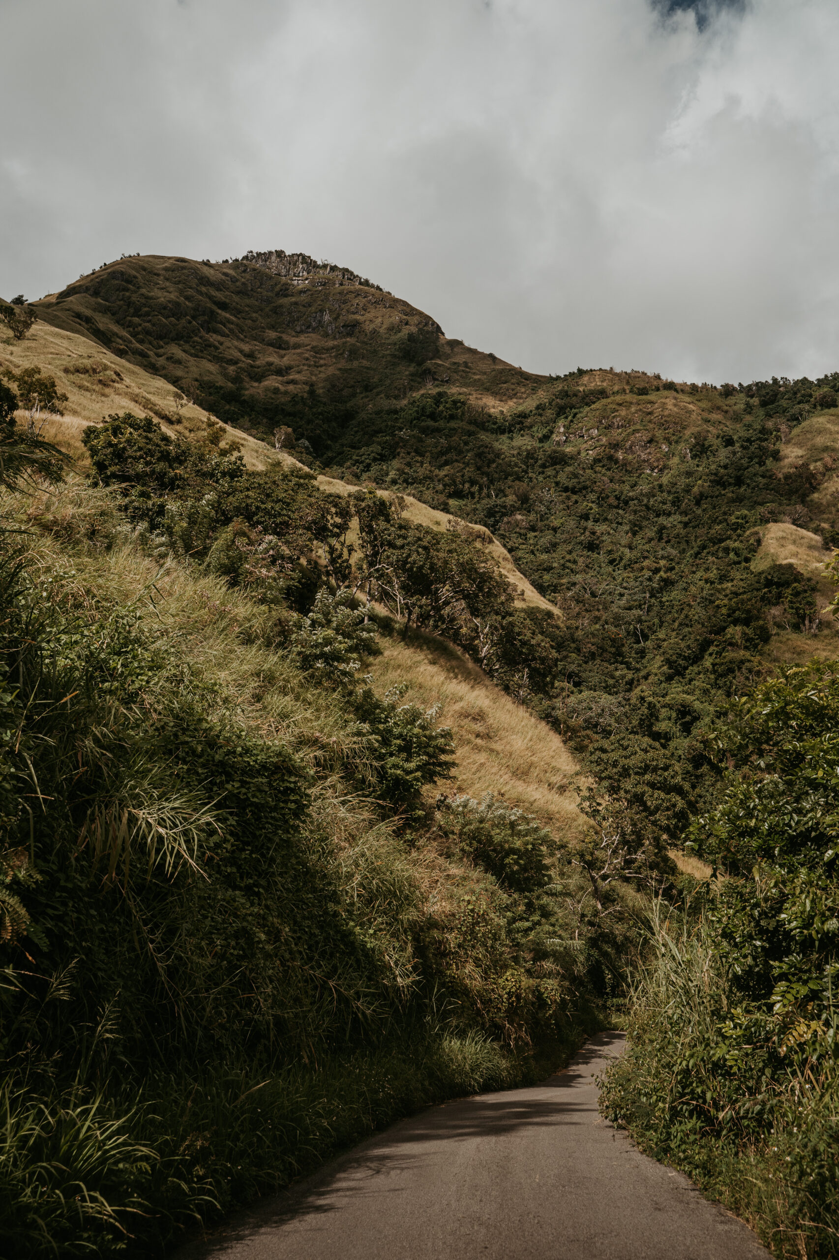 Pico Rodadero Puerto Rico