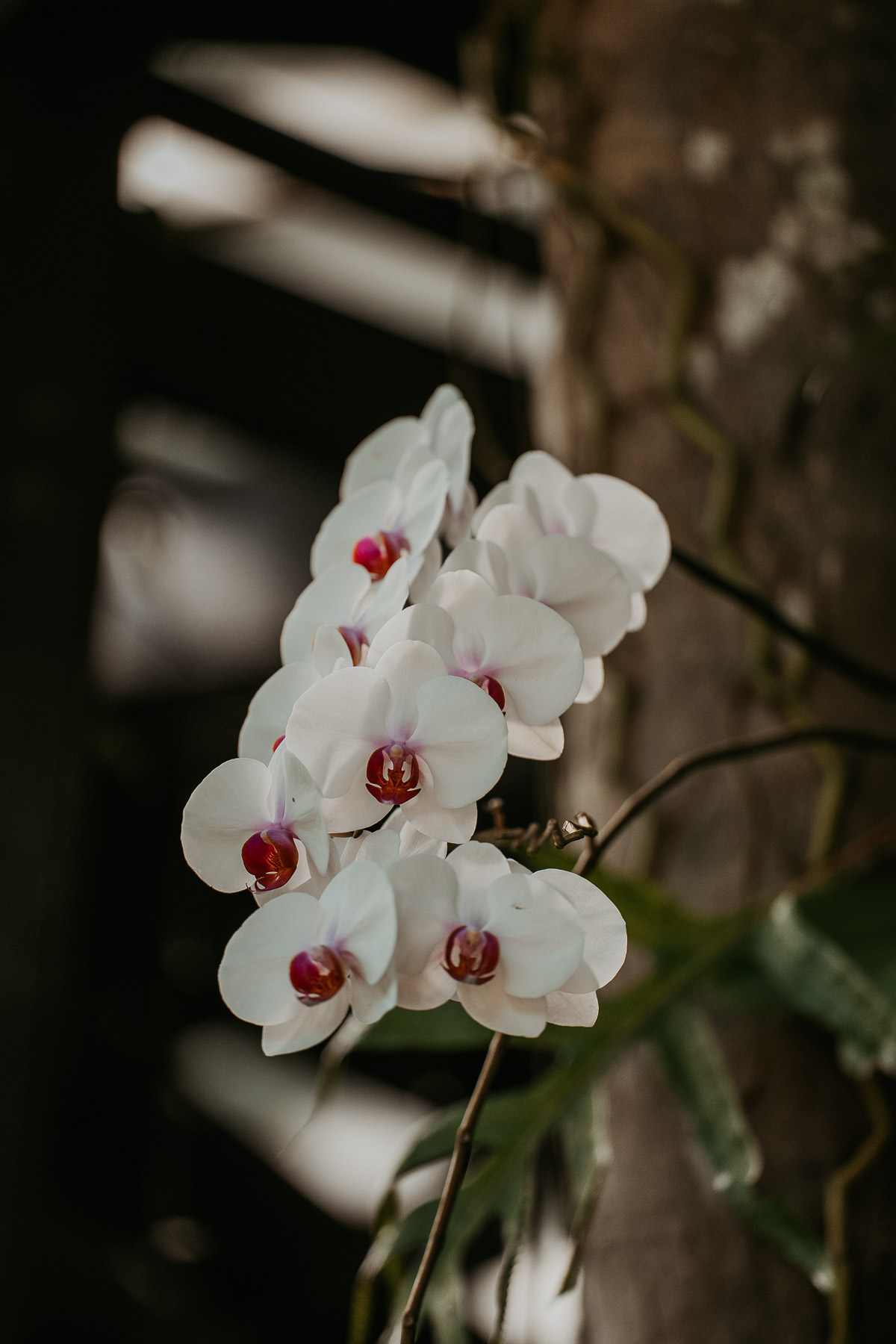 Natural florals at Hacienda Siesta Alegre wedding venue surrounded by tropical landscape