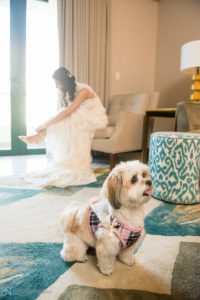 Hotel Condado Vanderbilt Intimate Wedding Puerto Rico