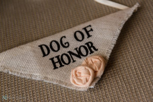 Hotel Condado Vanderbilt Intimate Wedding Puerto Rico