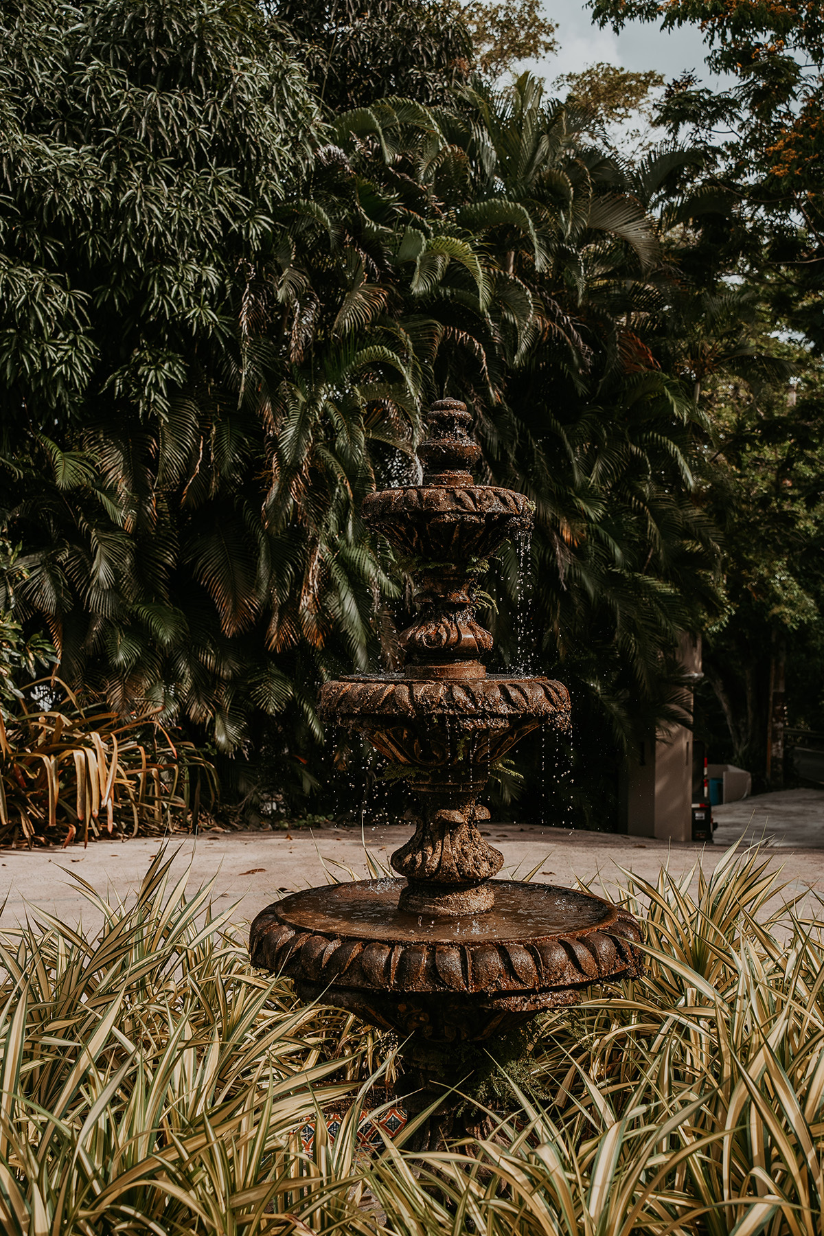 Close-up of fountain surrounded by greenery at Jardines del Castillo