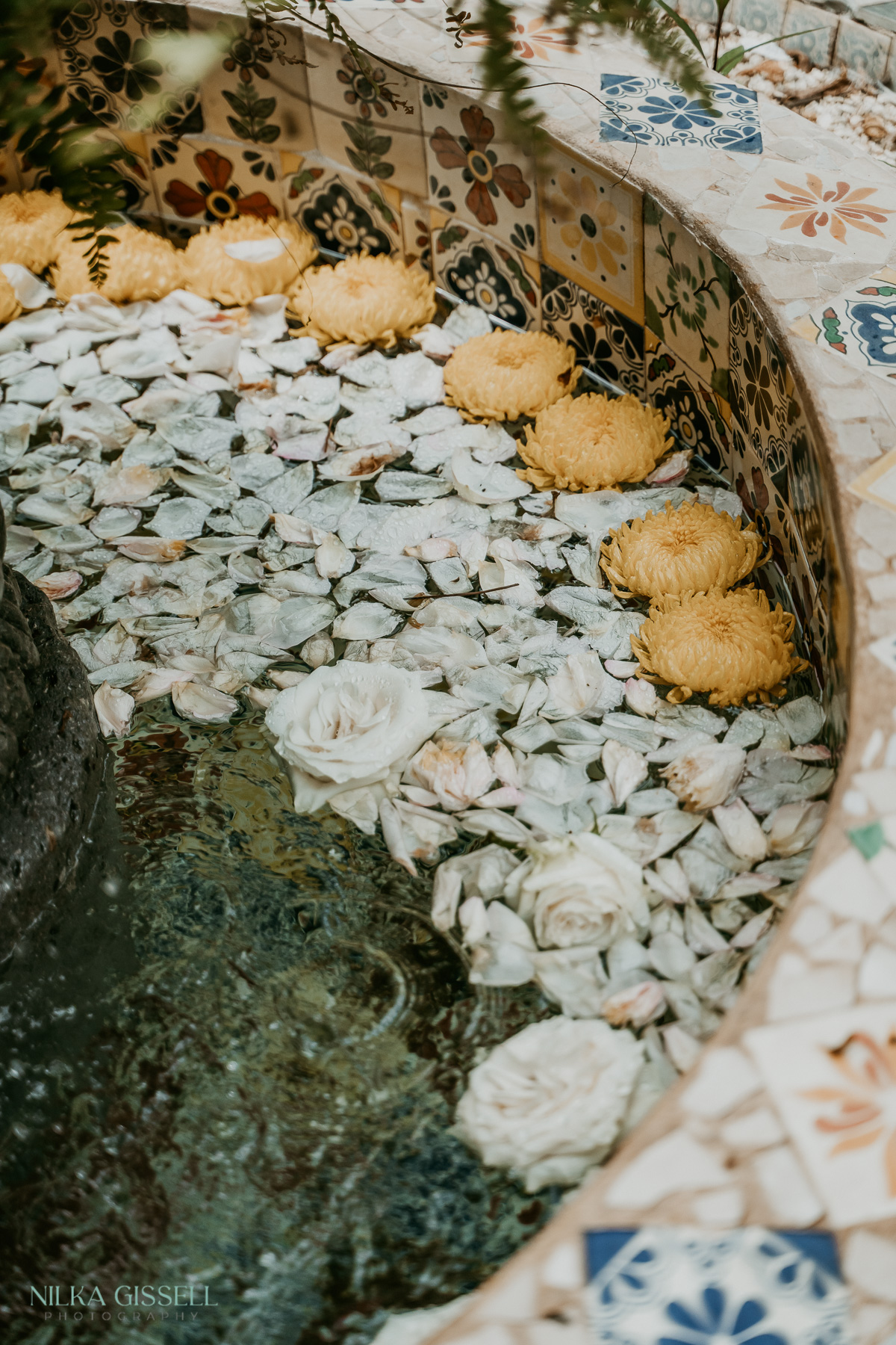 Lesbian Wedding at Hacienda Siesta Alegre