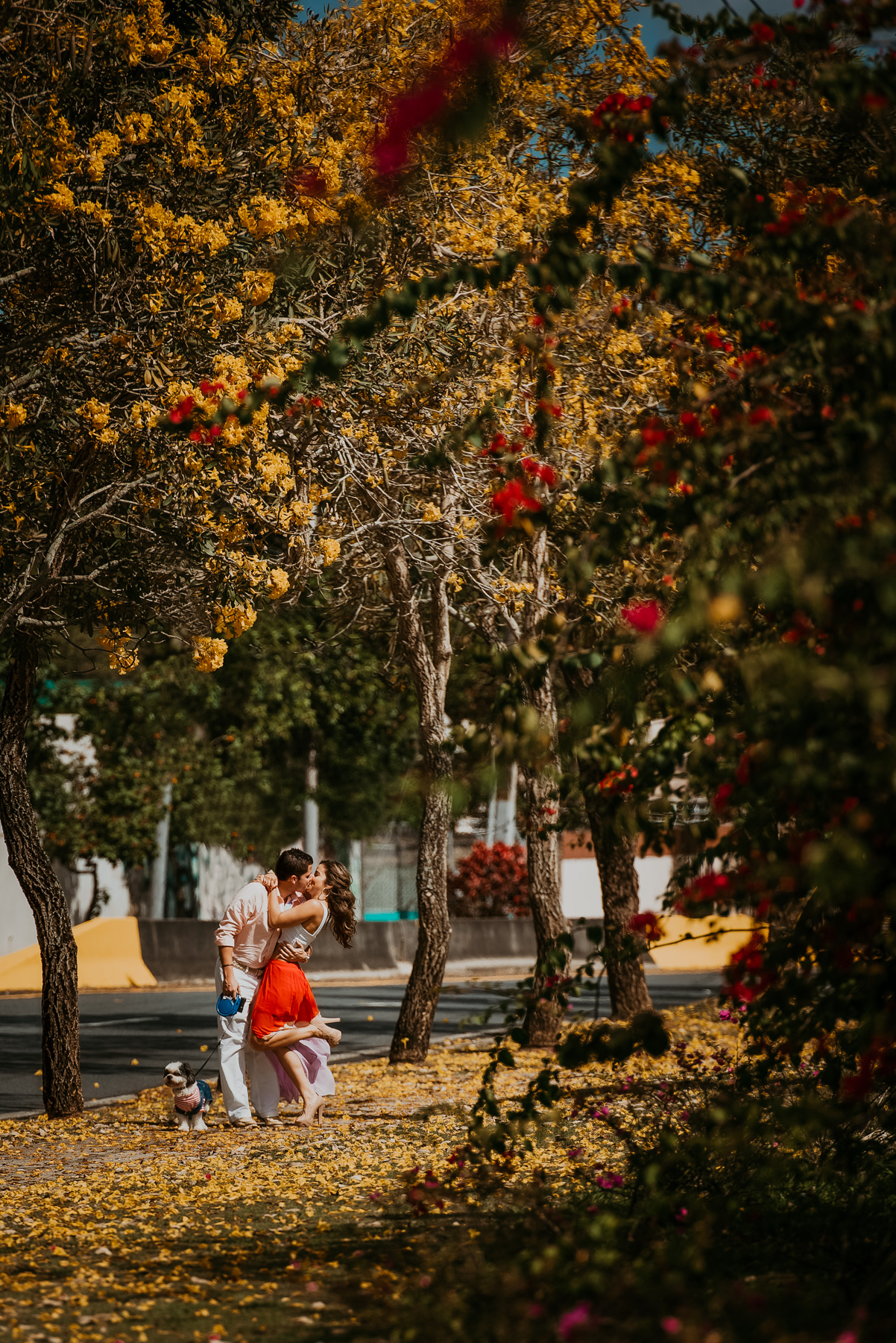 Love Story Engagement at Jardín Botánico of Caguas