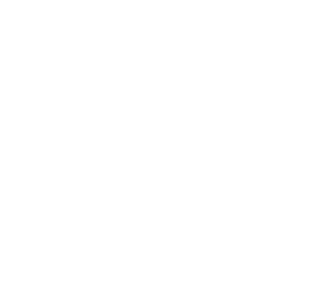 NGP White Logo