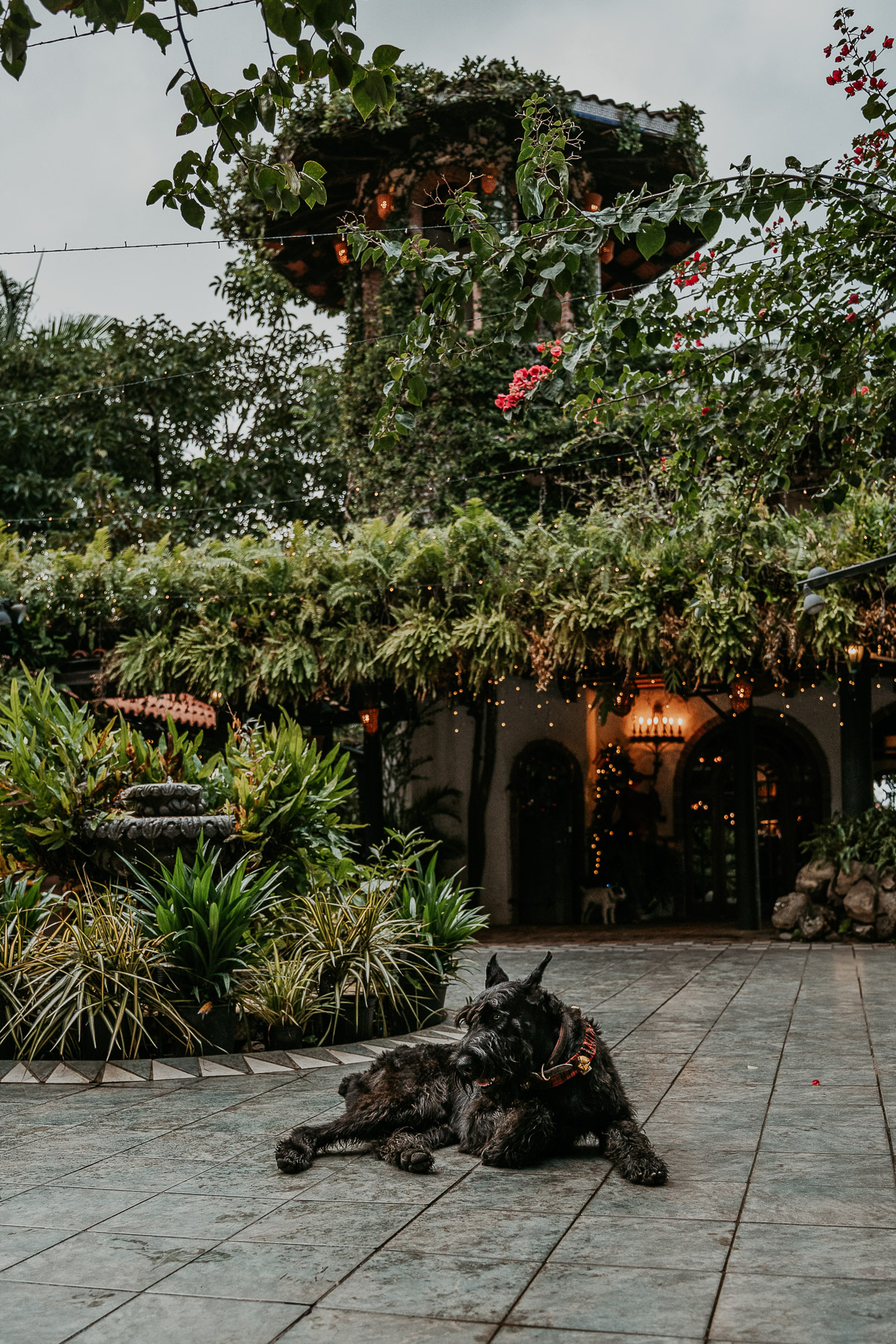 Hacienda Siesta Alegre Mascot posing for a candid portrait.