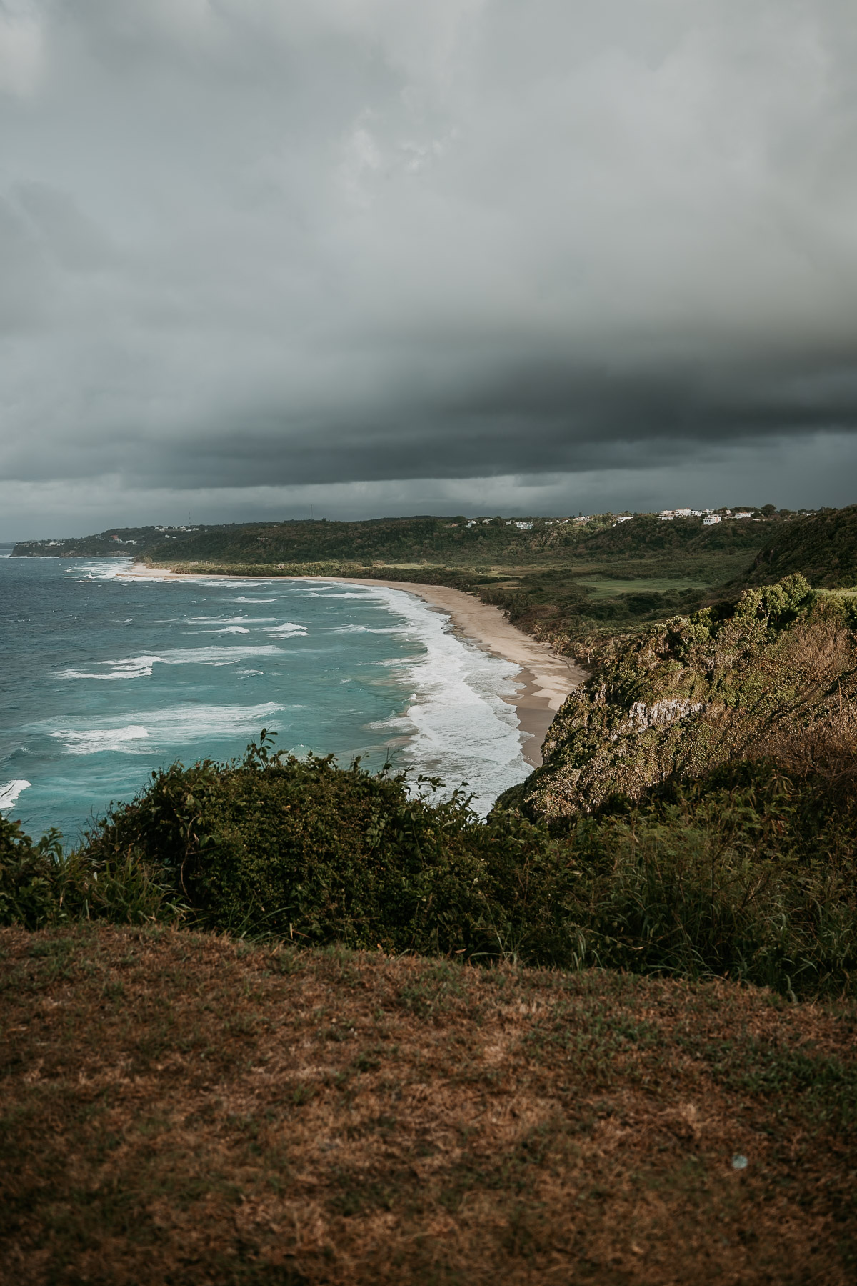 Royal Isabela Weddings Puerto Rico .