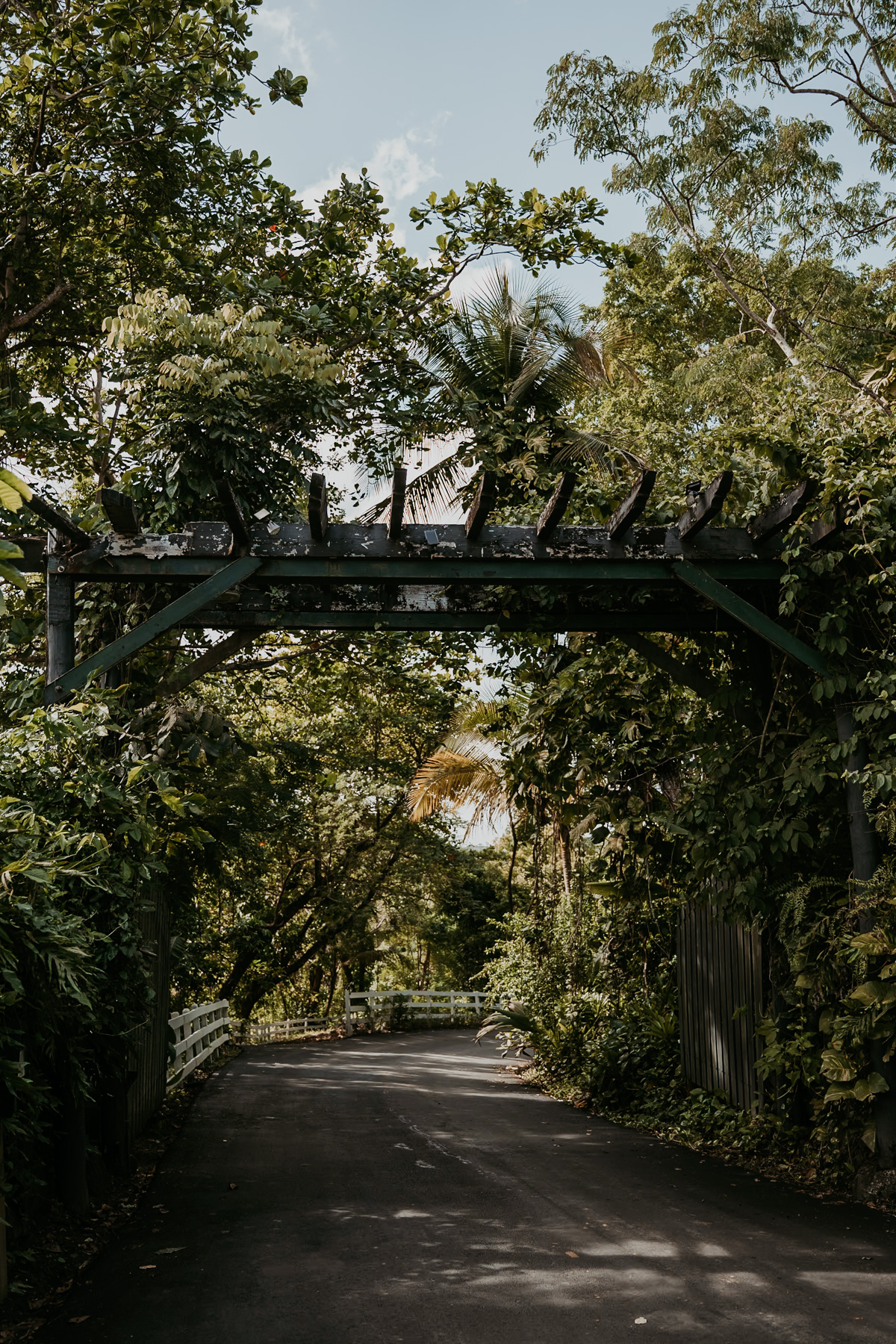 Hacienda Siesta Alegre entrance