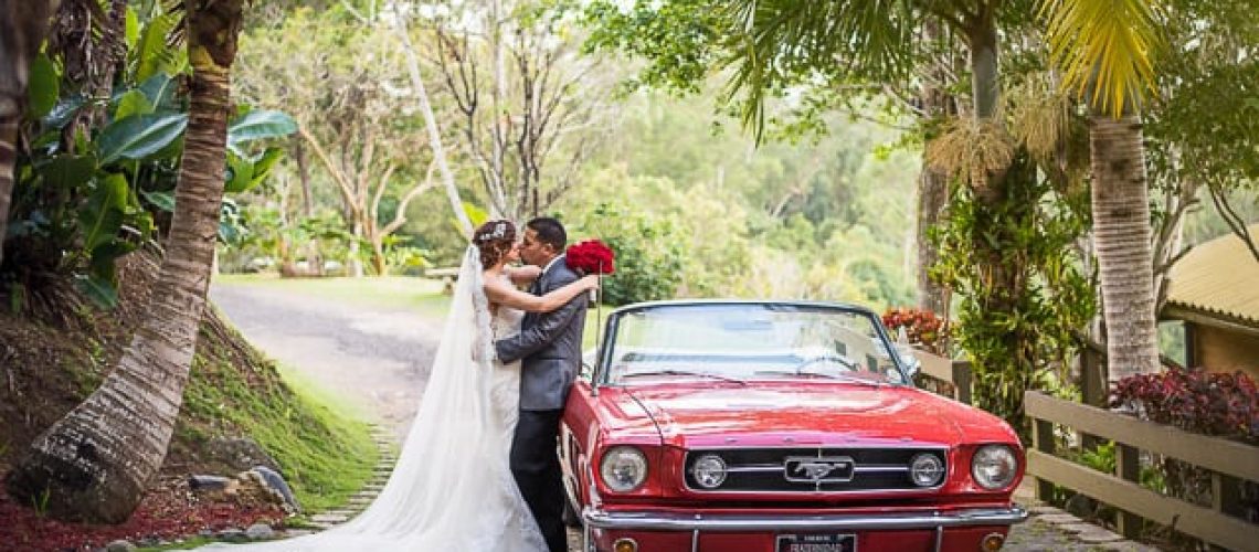 Siempreviva Boda en Cayey Puerto Rico